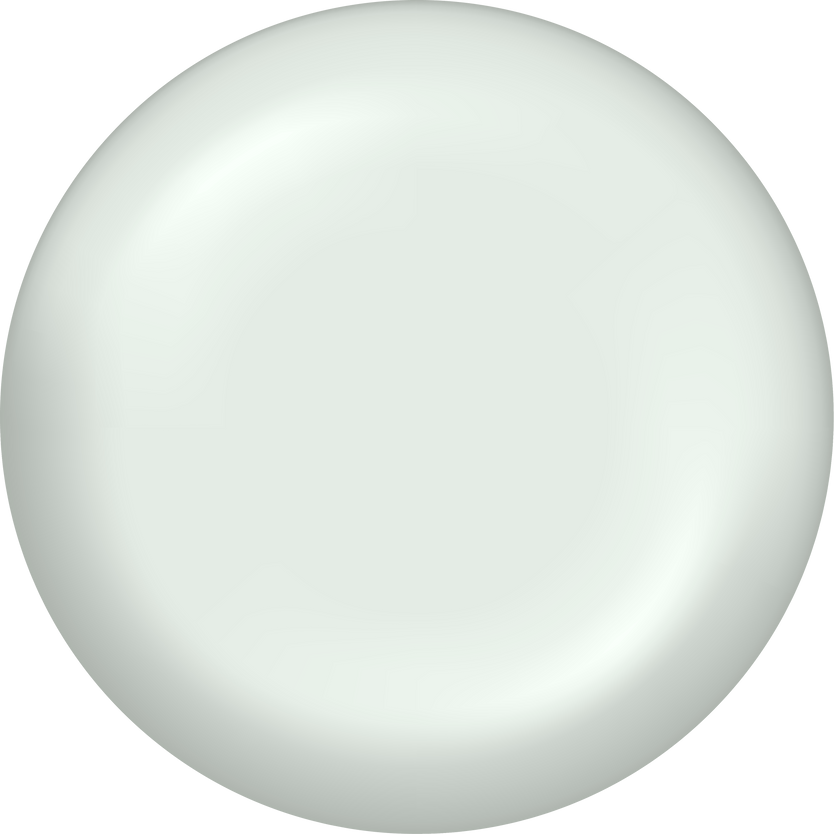 White round button